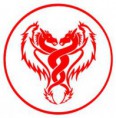 /album/alguns-escudos/red-dragons-team-jpg/